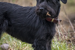 1_1250291-Bearbeitet