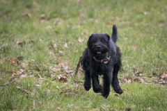 1_1250328-Bearbeitet