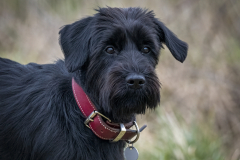 1_1250345-Bearbeitet