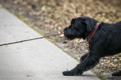 1_1250455-Bearbeitet