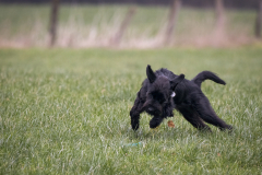 1_1250624-Bearbeitet