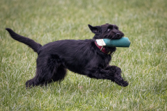 1_1250676-Bearbeitet