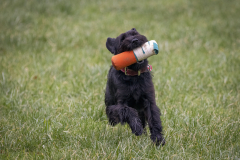 1_1250711-Bearbeitet