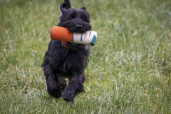 1_1250729-Bearbeitet