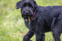 1_1250880-Bearbeitet